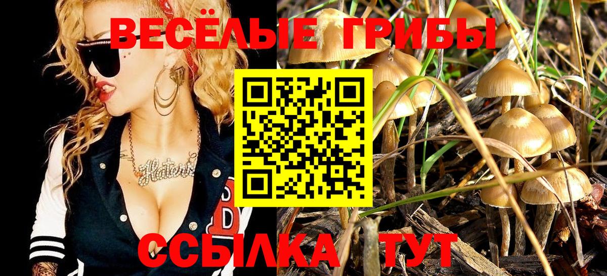 Псилоцибиновые грибы GOLDEN TEACHER Томск